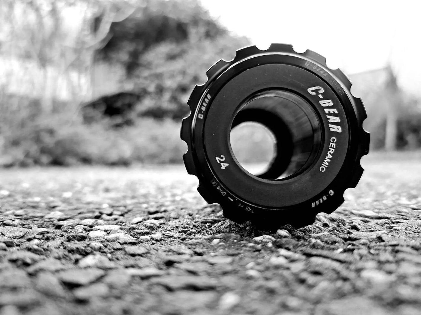 C-Bear Saint Piran Service Course