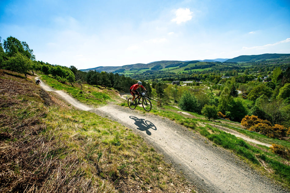 Mountain bikes in stock