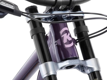 Kona Full Suspension Process X DH - Full Suspension