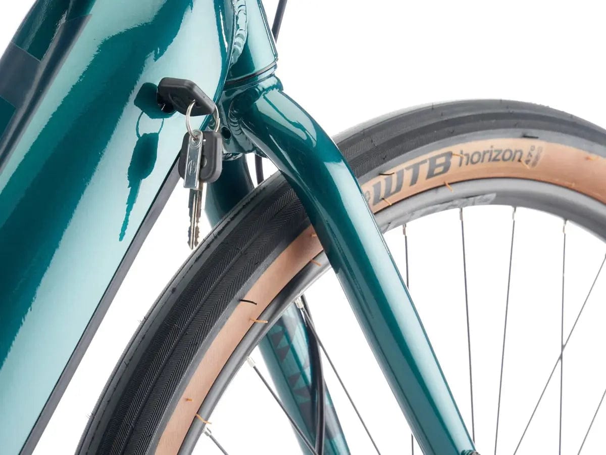 Kona Electric Rove HD - Electric