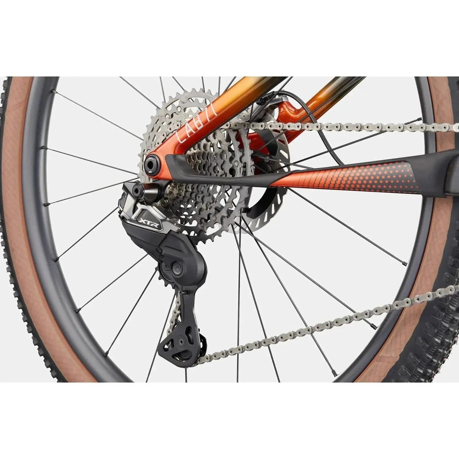 Saint Piran Service Course Cannondale Scalpel LAB71 Carbon Team