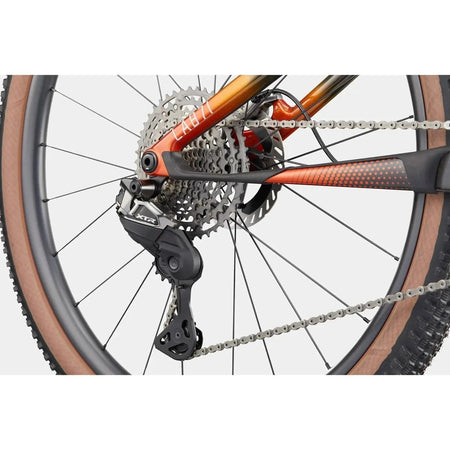 Saint Piran Service Course Cannondale Scalpel LAB71 Carbon Team