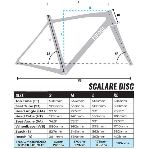 Tifosi Endurance Scalare Grey Fade Tiagra Aksium Bike