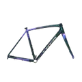 Emerald Iris/Purple Phaze
