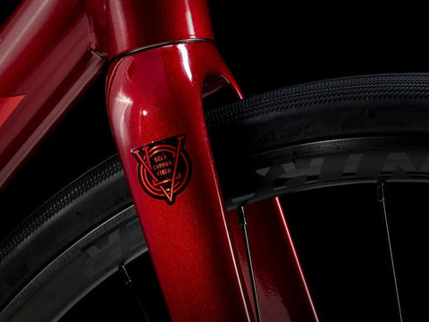 Trek Endurance Domane AL 2 Gen 4