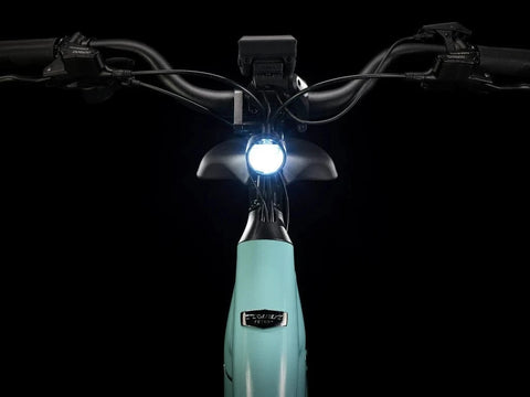 Trek E-Cargo Fetch+ 2