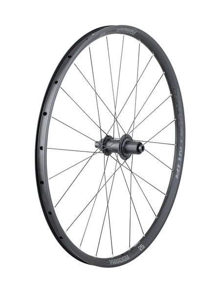 Bontrager Road Wheels Rear Shimano/SRAM Road 11-speed Bontrager Paradigm Comp 25 Disc 148