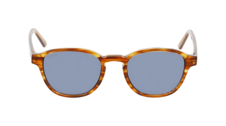 Coral Eyewear Sunglasses Brown Parlee
