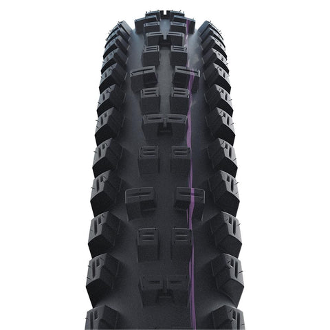 Schwalbe MTB Tyres Schwalbe Tacky Chan Evo S/Downhill TLE